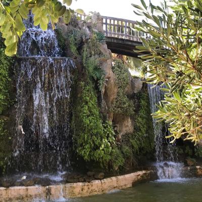 20 jardin img 5735 1920px 1080px