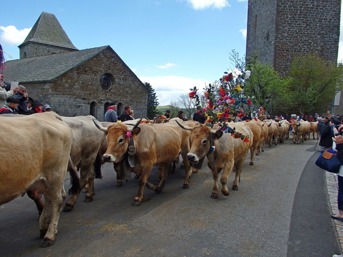 Aubrac 2019